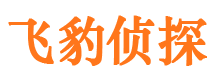 句容市出轨取证